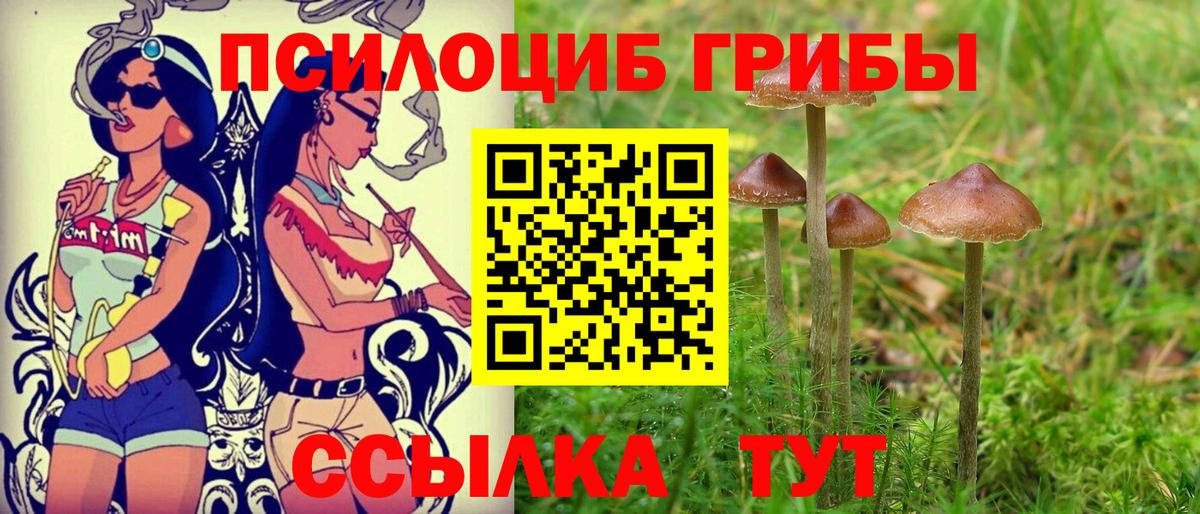 Псилоцибиновые грибы Psilocybe Верхняя Салда